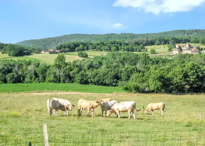 De 4 Avec Piscine Privee Et Terrasse Amenagee A * Lherm (Lot)